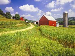 farm1